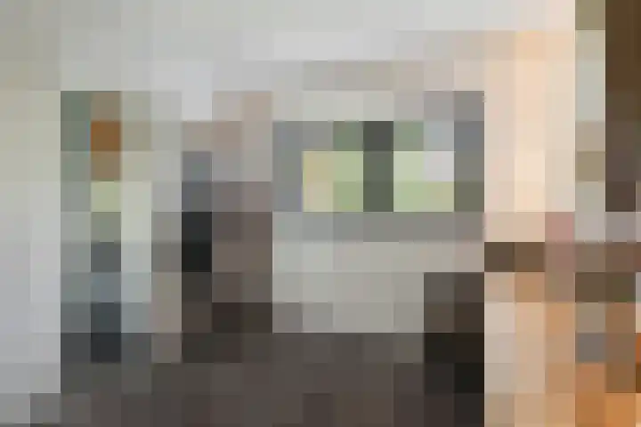 Achterstraat 41 Lunteren thumbnail 15