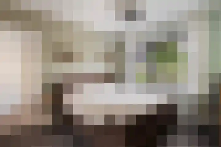 Achterstraat 41 Lunteren thumbnail 17