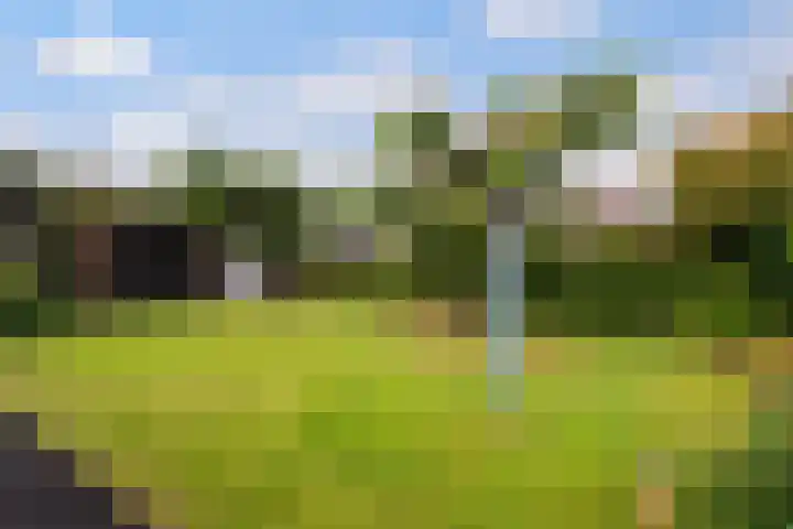 Achterstraat 41 Lunteren thumbnail 31