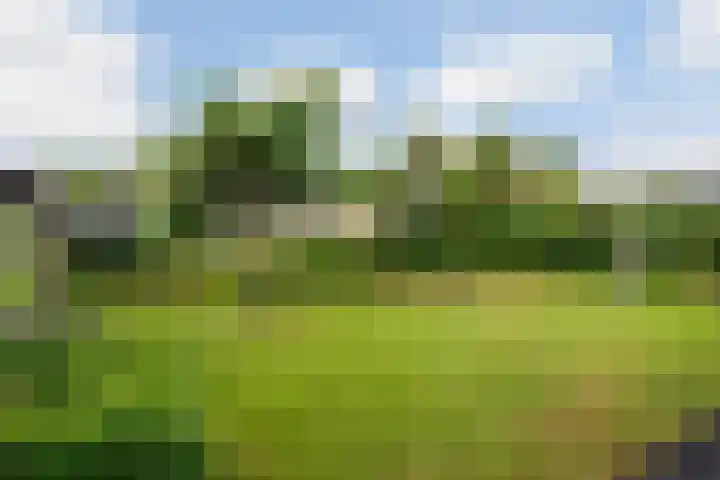 Achterstraat 41 Lunteren thumbnail 32