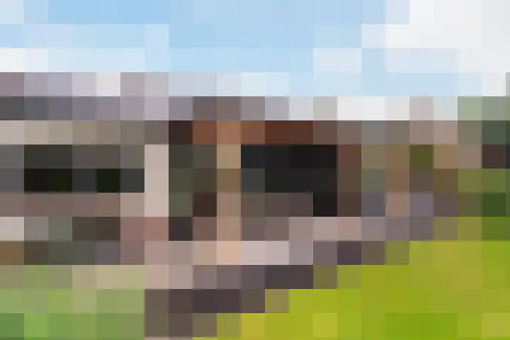 Achterstraat 41 Lunteren thumbnail 34
