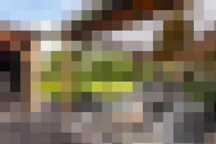 Achterstraat 41 Lunteren thumbnail 38