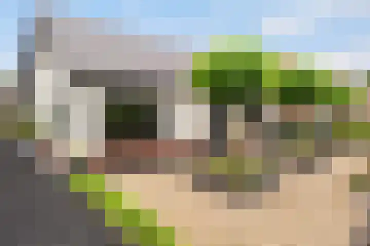 Achterstraat 41 Lunteren thumbnail 41