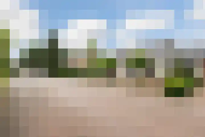 Achterstraat 41 Lunteren thumbnail 44