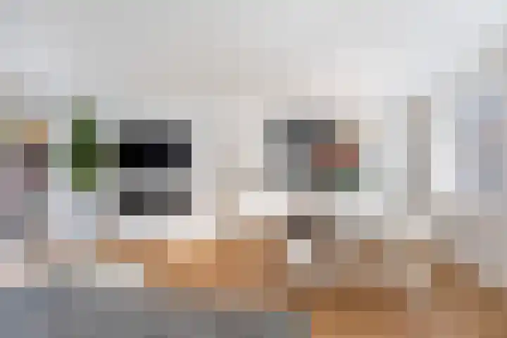 Achterstraat 44 Wijk bij Duurstede thumbnail 10