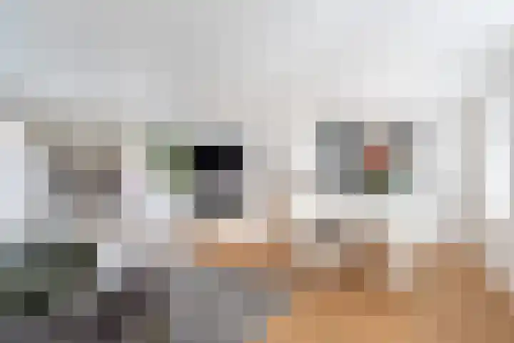 Achterstraat 44 Wijk bij Duurstede thumbnail 5