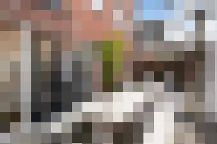 Achterstraat 44 Wijk bij Duurstede thumbnail 56