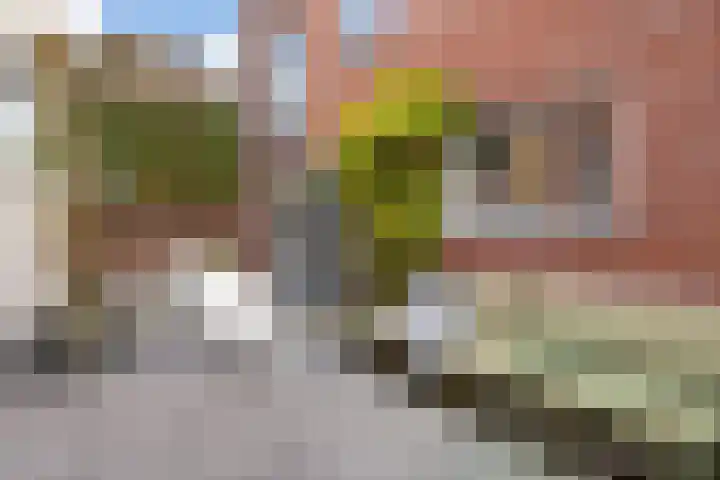 Achterstraat 44 Wijk bij Duurstede thumbnail 57