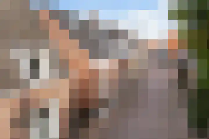 Achterstraat 44 Wijk bij Duurstede thumbnail 68