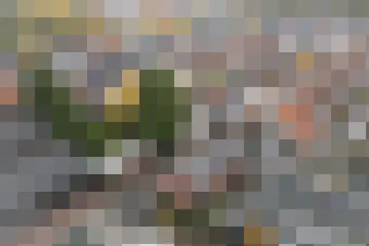 Achterstraat 44 Wijk bij Duurstede thumbnail 69