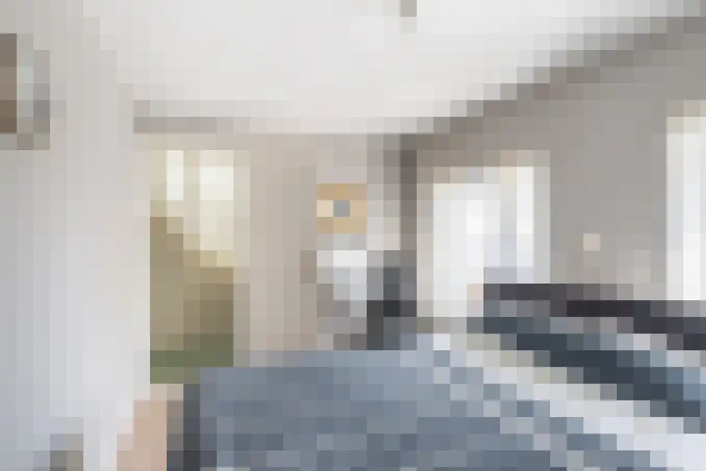 Achterstraat 46 Sint Philipsland thumbnail 30