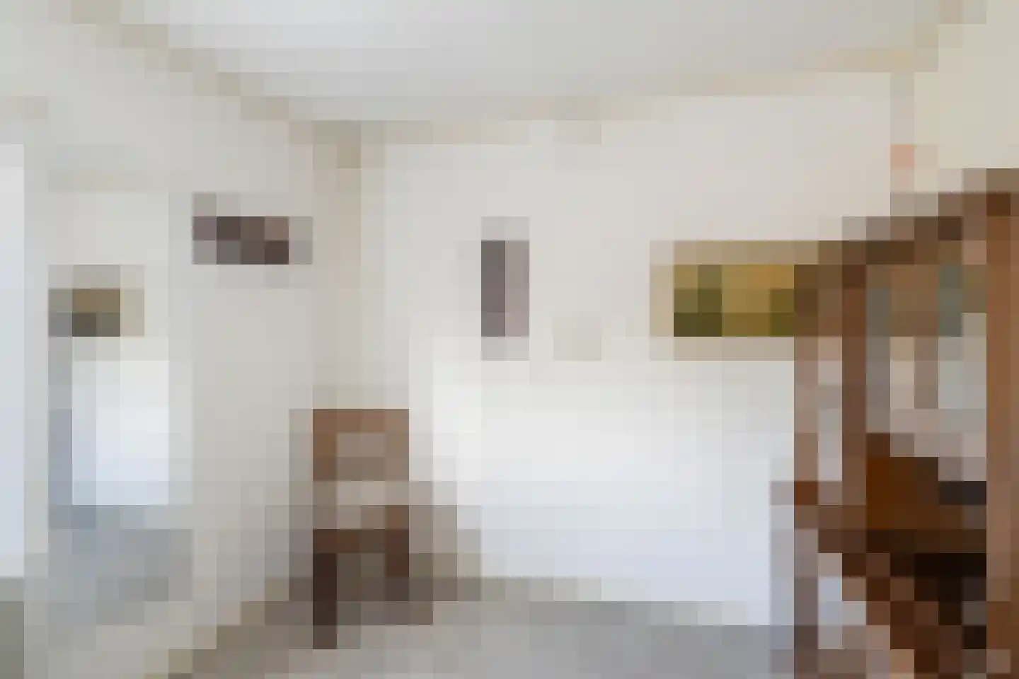 Achterstraat 46 Sint Philipsland thumbnail 35
