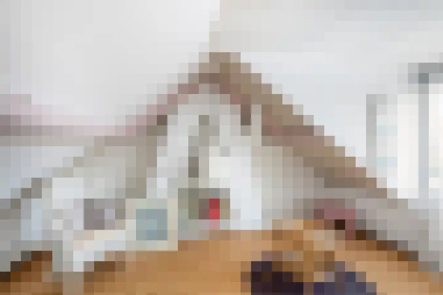 Achterstraat 46 Sint Philipsland thumbnail 40