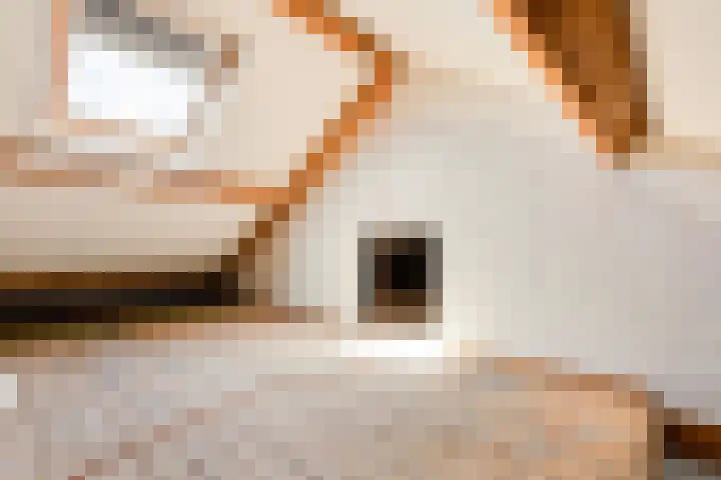 Achterstraat 47 A Lunteren thumbnail 23