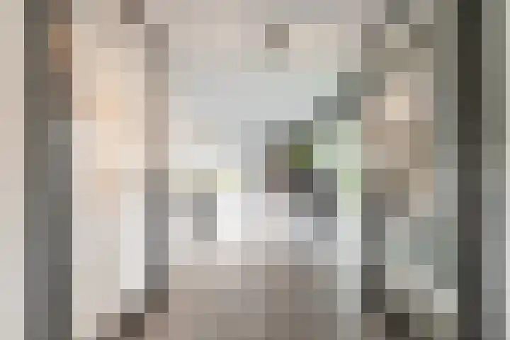 Achterstraat 49 Helvoirt thumbnail 10