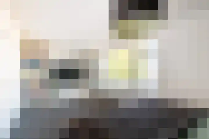 Achterstraat 49 Helvoirt thumbnail 26
