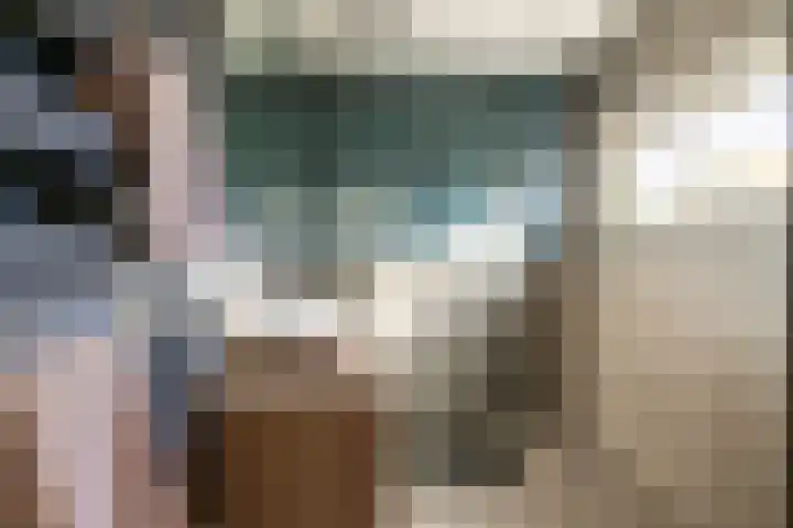Achterstraat 49 Helvoirt thumbnail 32
