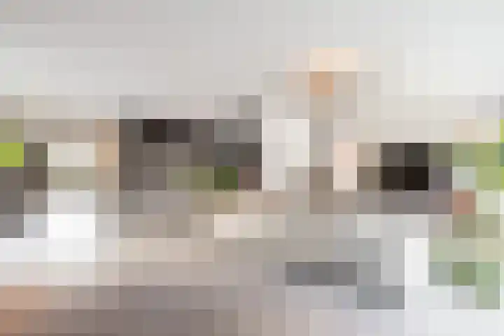 Achterstraat 49 Helvoirt thumbnail 4