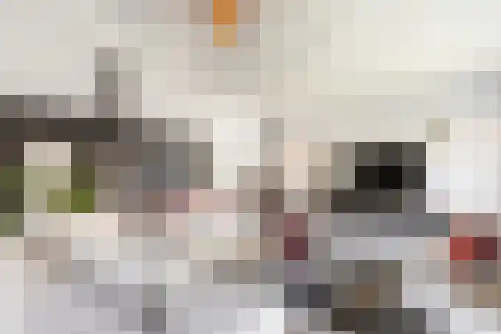 Achterstraat 49 Helvoirt thumbnail 5