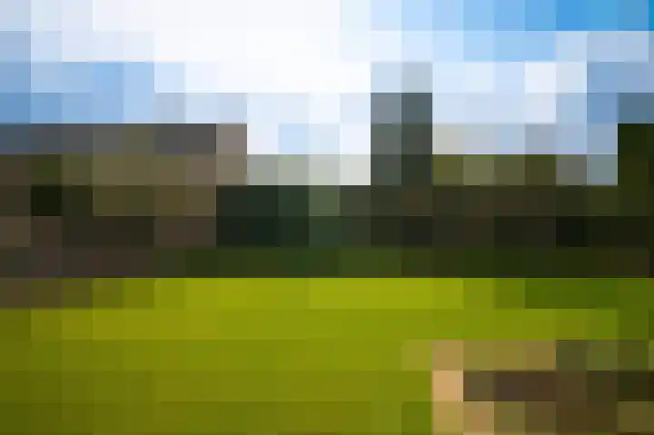 Achterstraat 5 Heerewaarden thumbnail 30