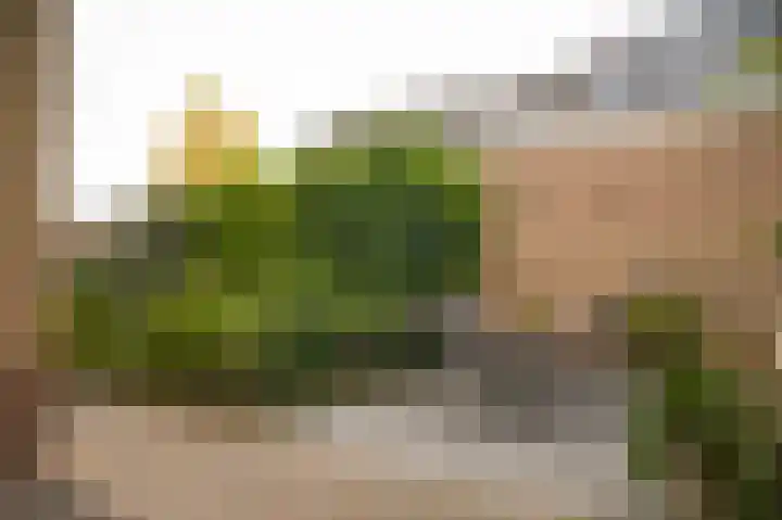 Achterstraat 5 Heerewaarden thumbnail 34