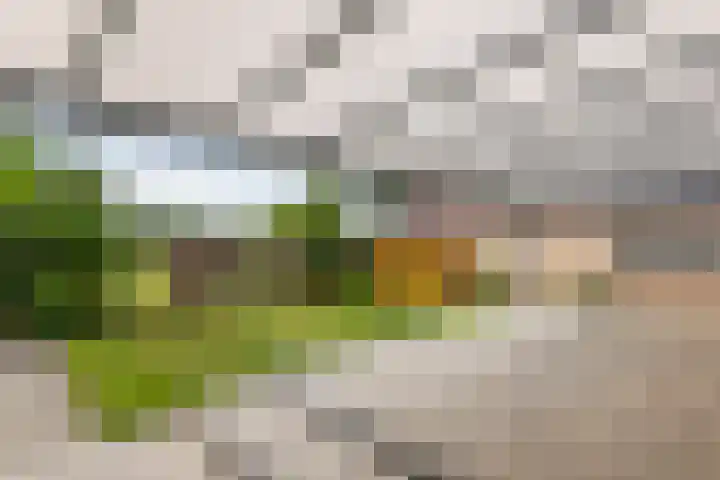Achterstraat 5 Kerk-Avezaath thumbnail 8