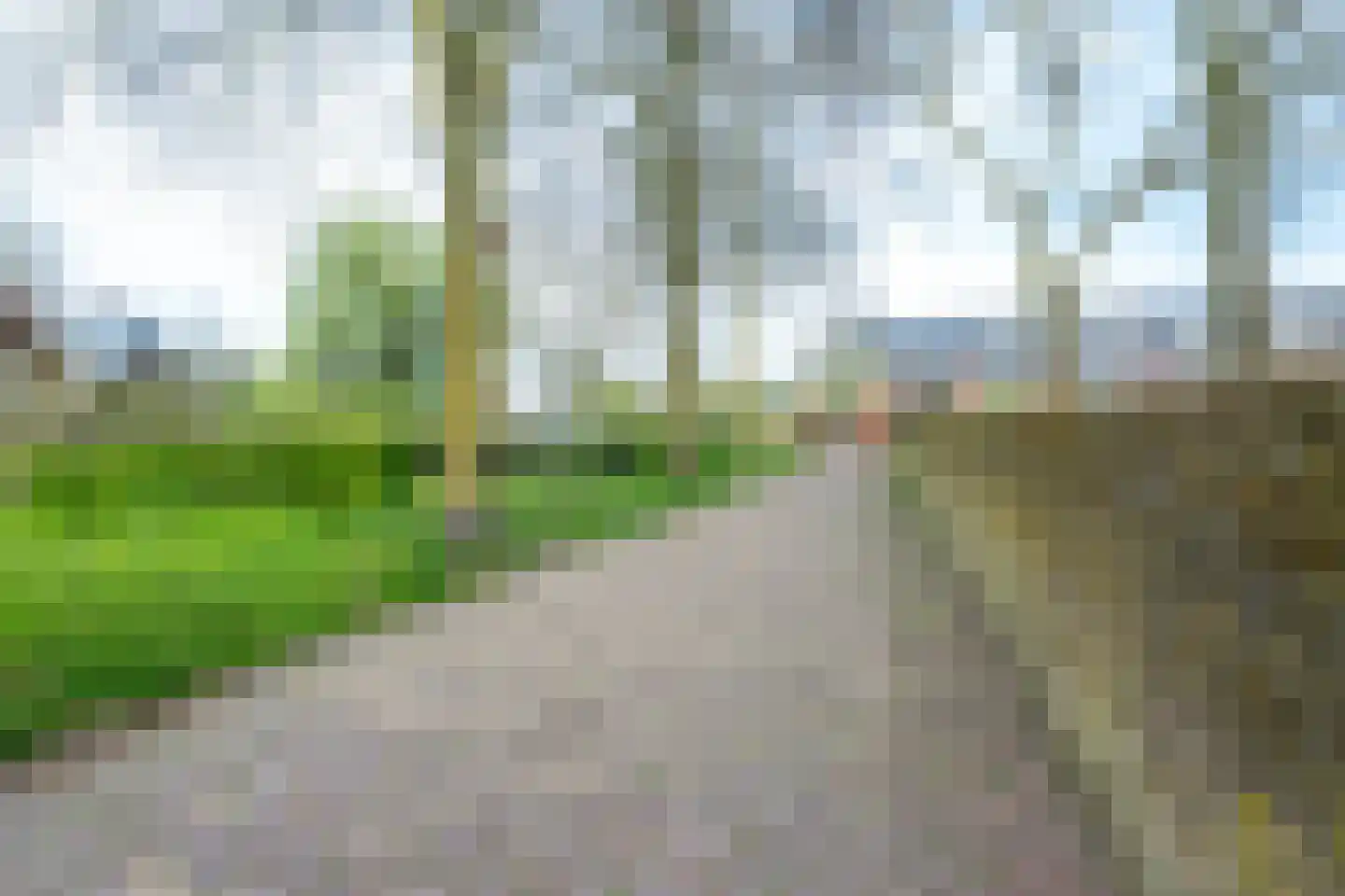 Achterstraat 50 Wijk bij Duurstede thumbnail 15