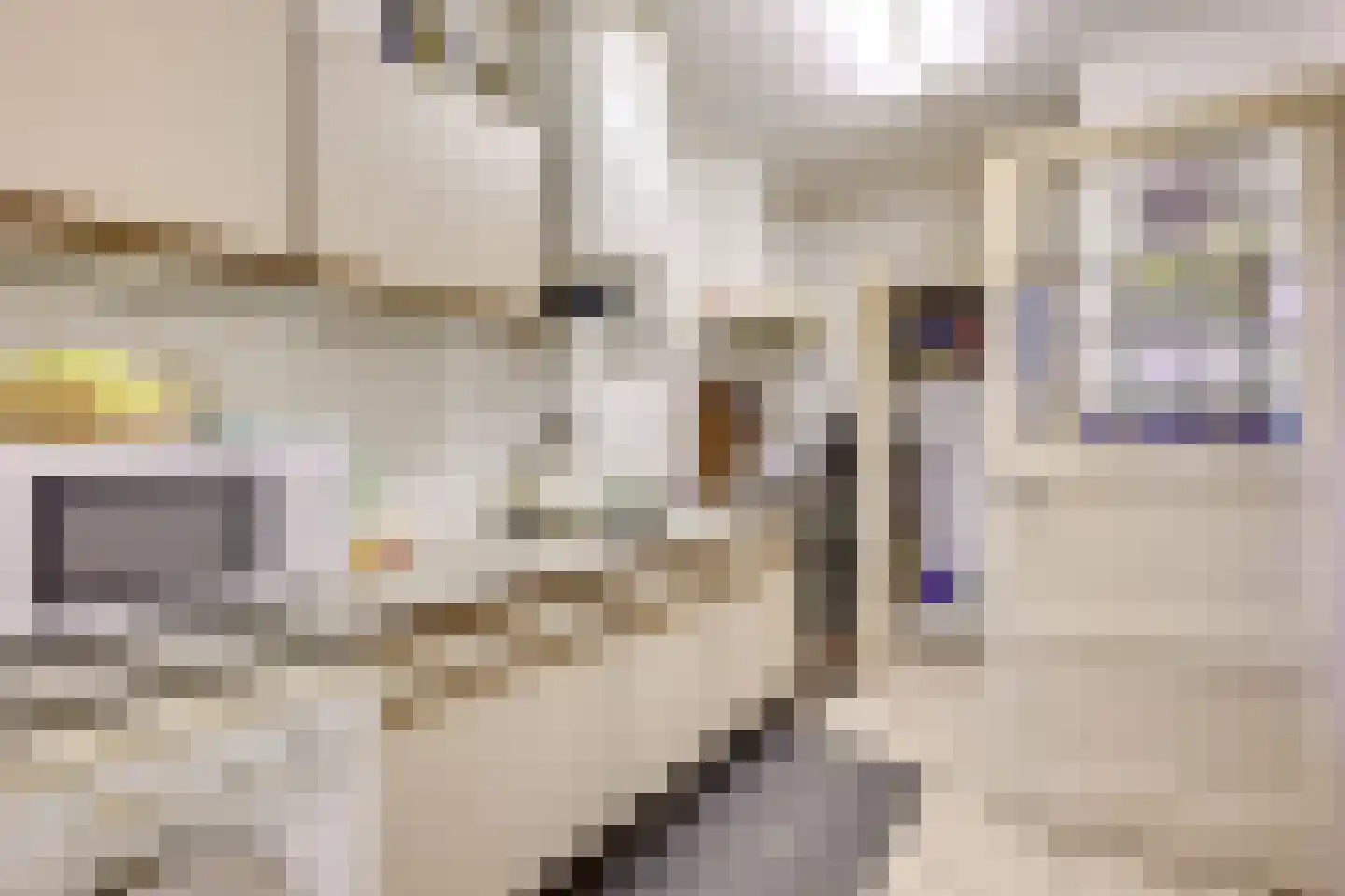 Achterstraat 50 Wijk bij Duurstede thumbnail 25