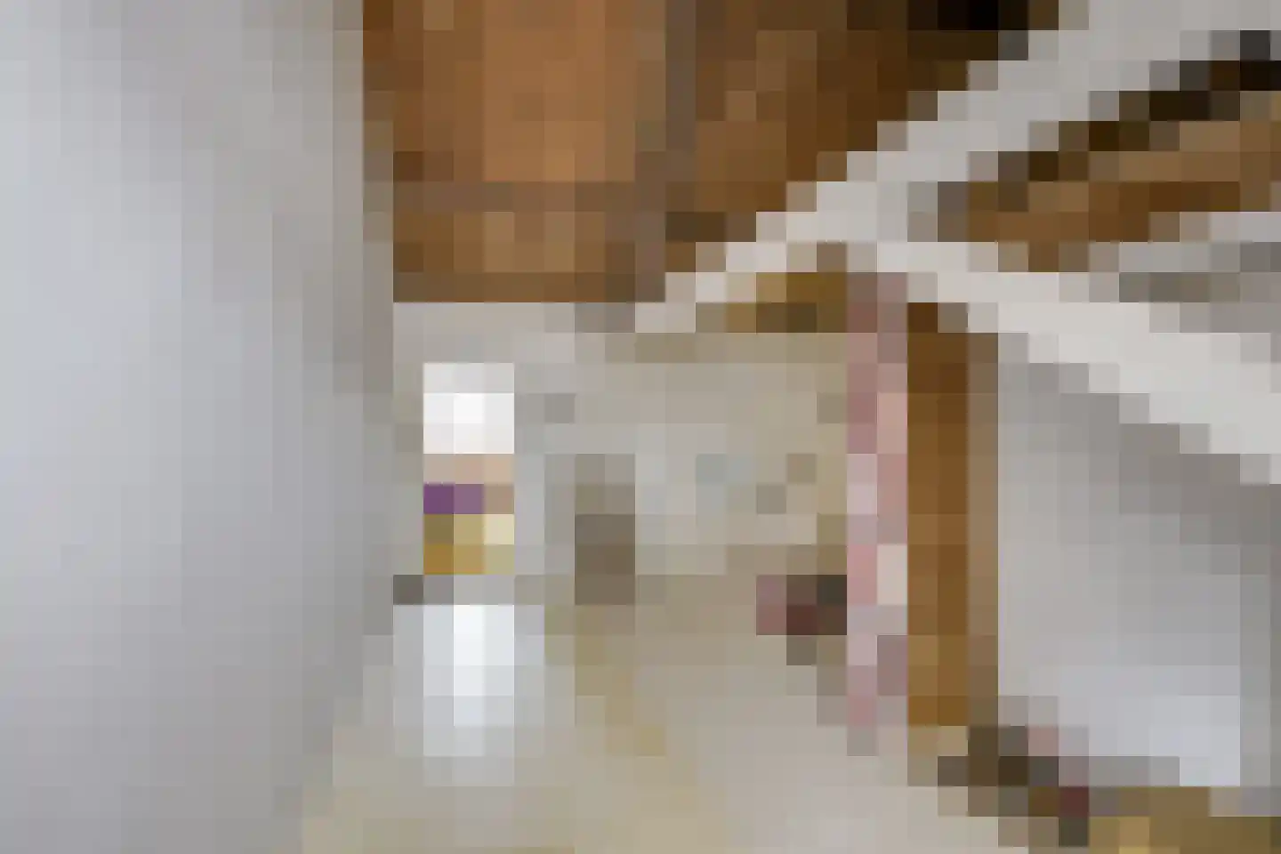 Achterstraat 50 Wijk bij Duurstede thumbnail 36
