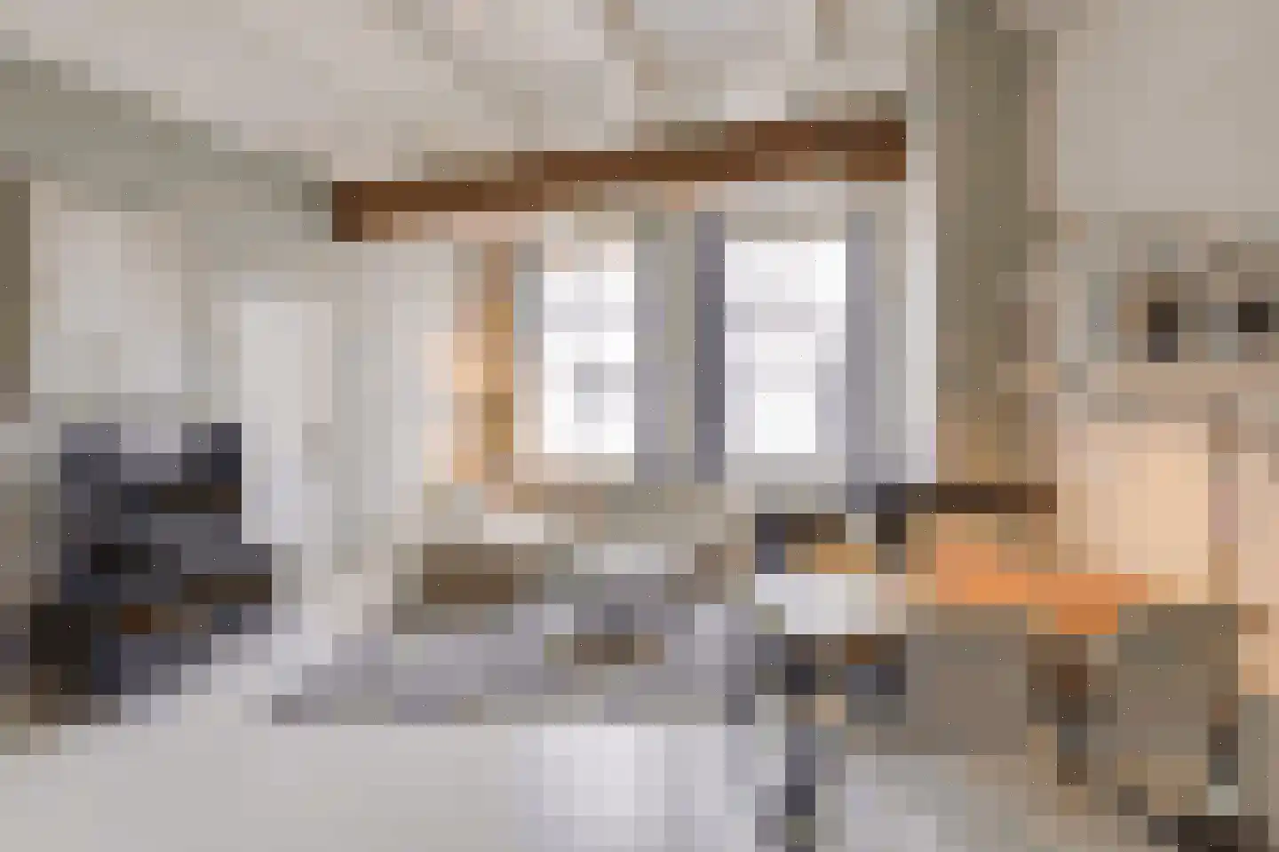 Achterstraat 50 Wijk bij Duurstede thumbnail 42