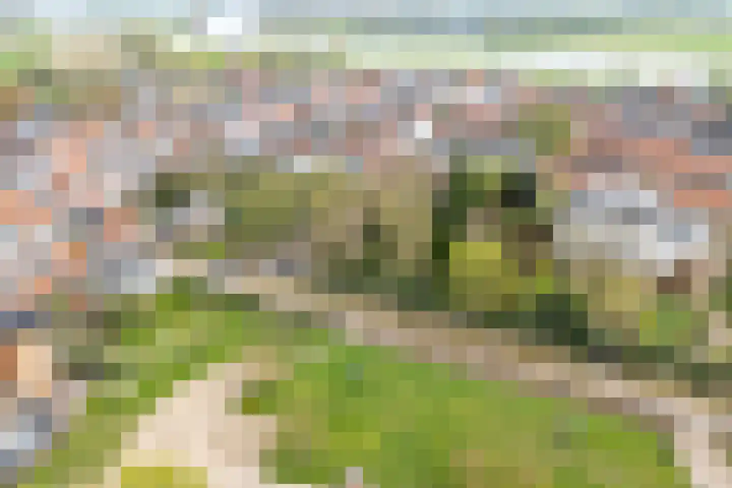 Achterstraat 50 Wijk bij Duurstede thumbnail 69