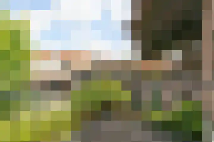 Achterstraat 51 Vianen thumbnail 33