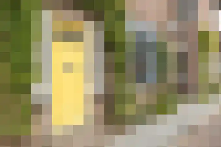 Achterstraat 51 Vianen thumbnail 4