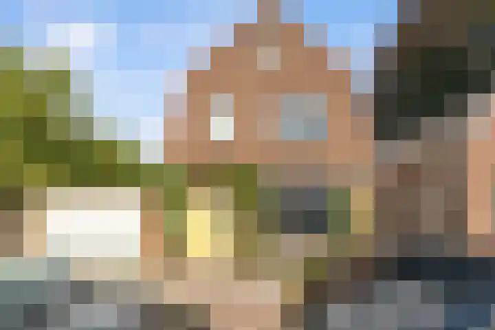 Achterstraat 51 Vianen thumbnail 47