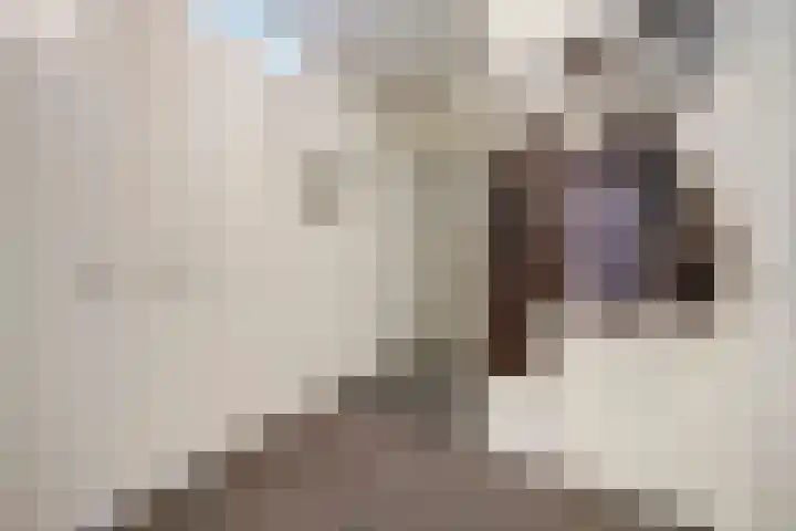 Achterstraat 52 Spijkenisse thumbnail 16
