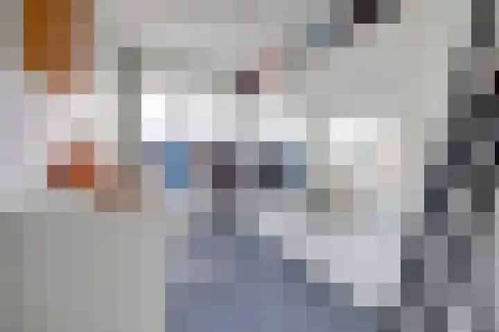 Achterstraat 52 Spijkenisse thumbnail 22
