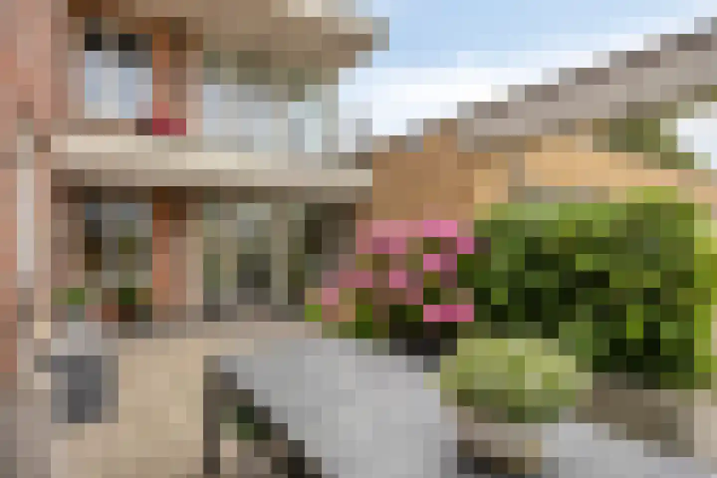 Achterstraat 53 b Helvoirt thumbnail 23