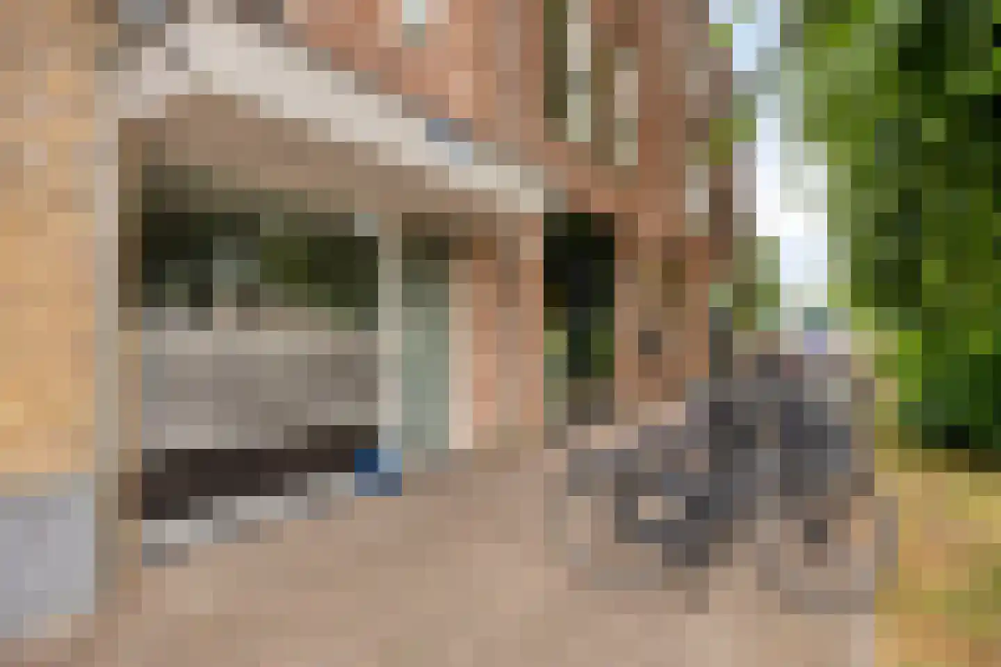 Achterstraat 53 b Helvoirt thumbnail 31