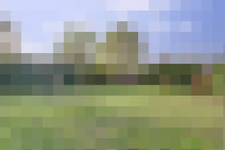 Achterstraat 6 a Putte thumbnail 34