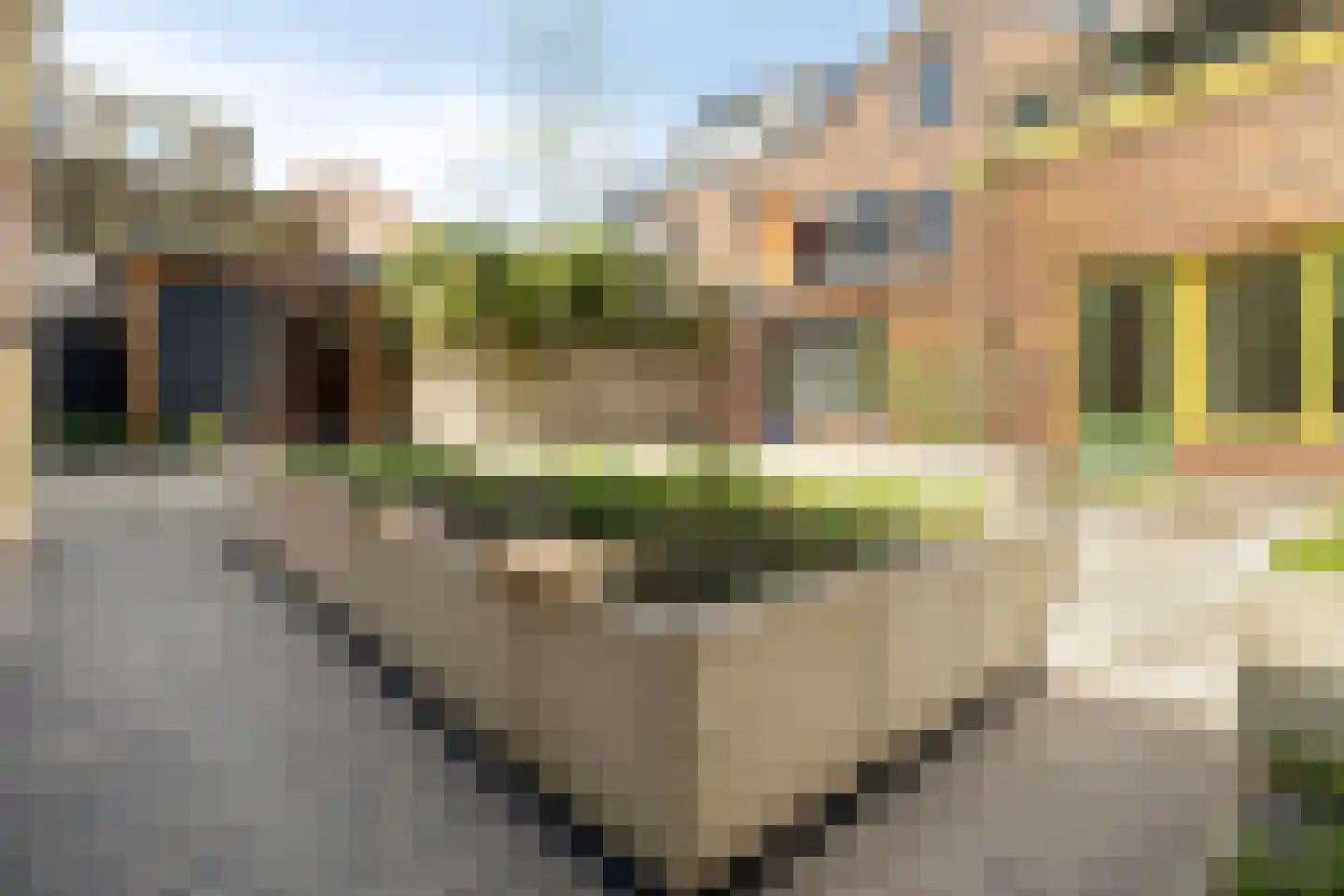 Achterstraat 6 B Woerden thumbnail 6