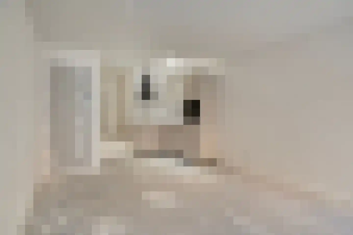 Achterstraat 6 B Woerden thumbnail 8