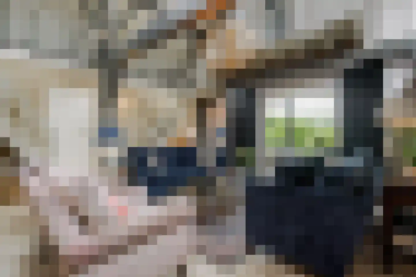 Achterstraat 6 Kerkwijk thumbnail 10