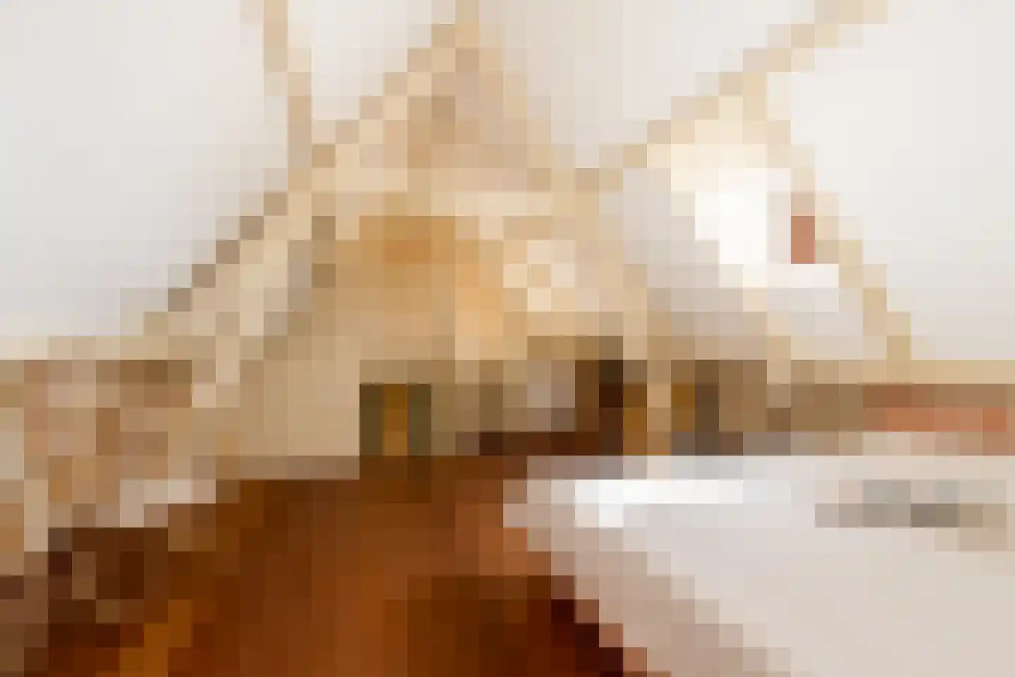 Achterstraat 6 Kerkwijk thumbnail 23