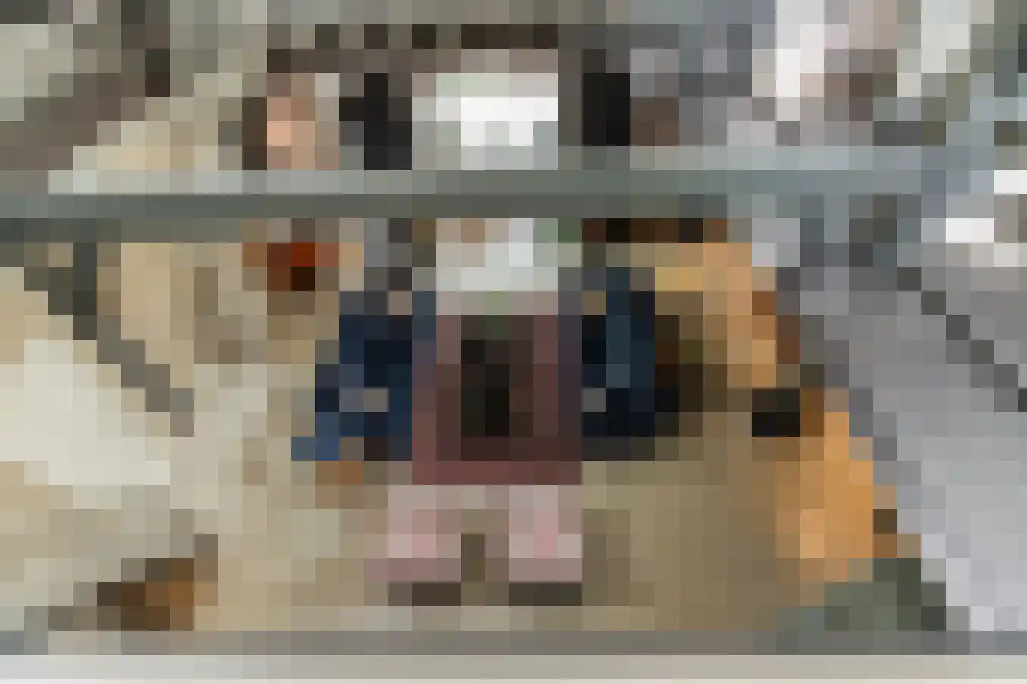 Achterstraat 6 Kerkwijk thumbnail 28