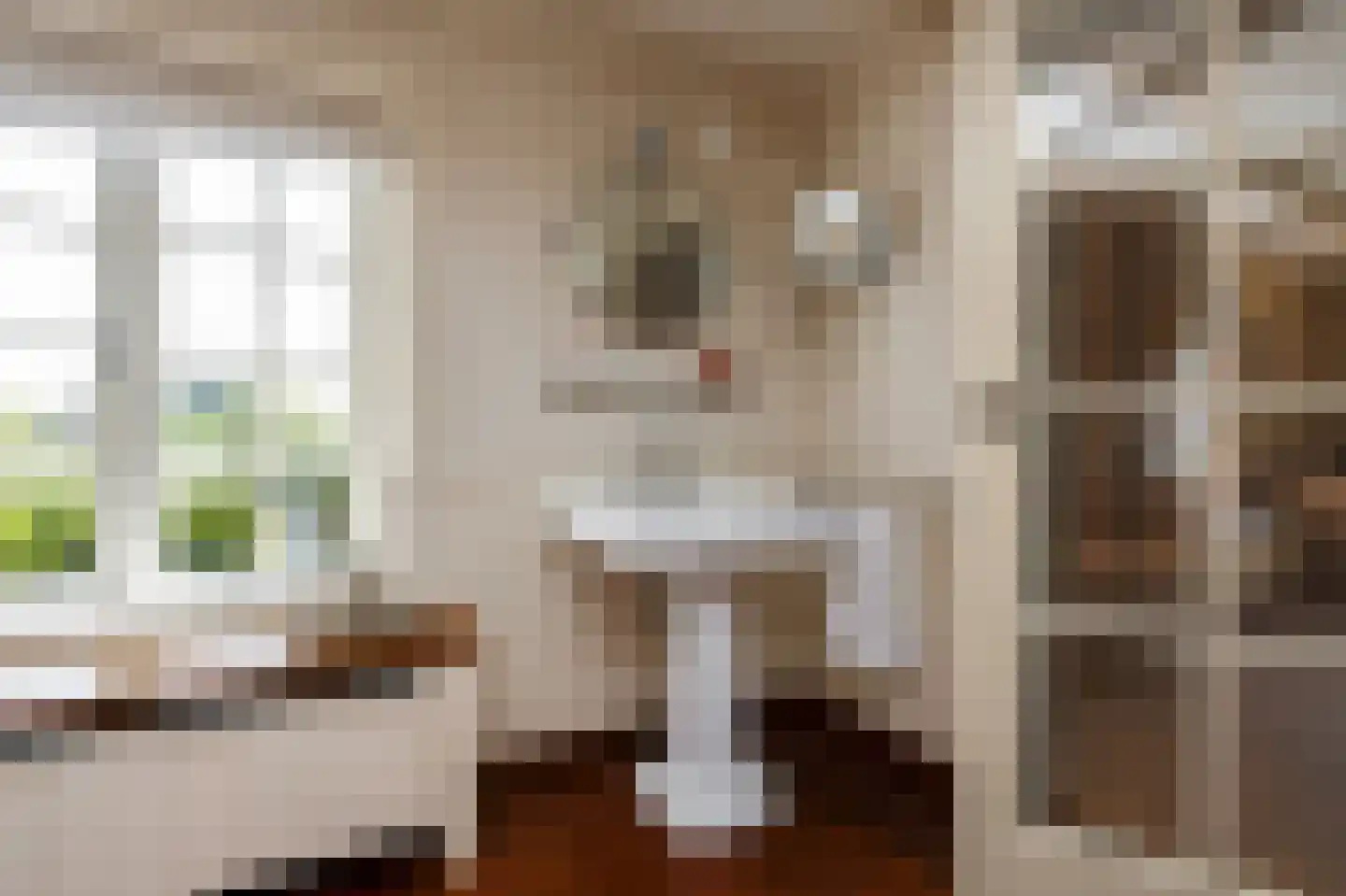 Achterstraat 6 Kerkwijk thumbnail 47