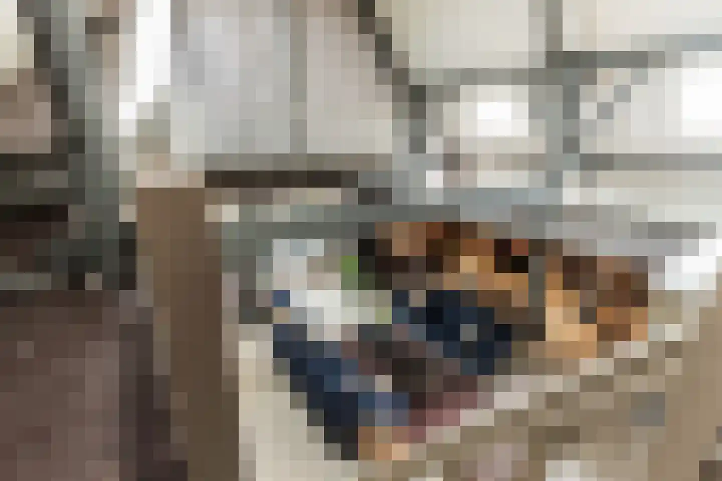 Achterstraat 6 Kerkwijk thumbnail 51