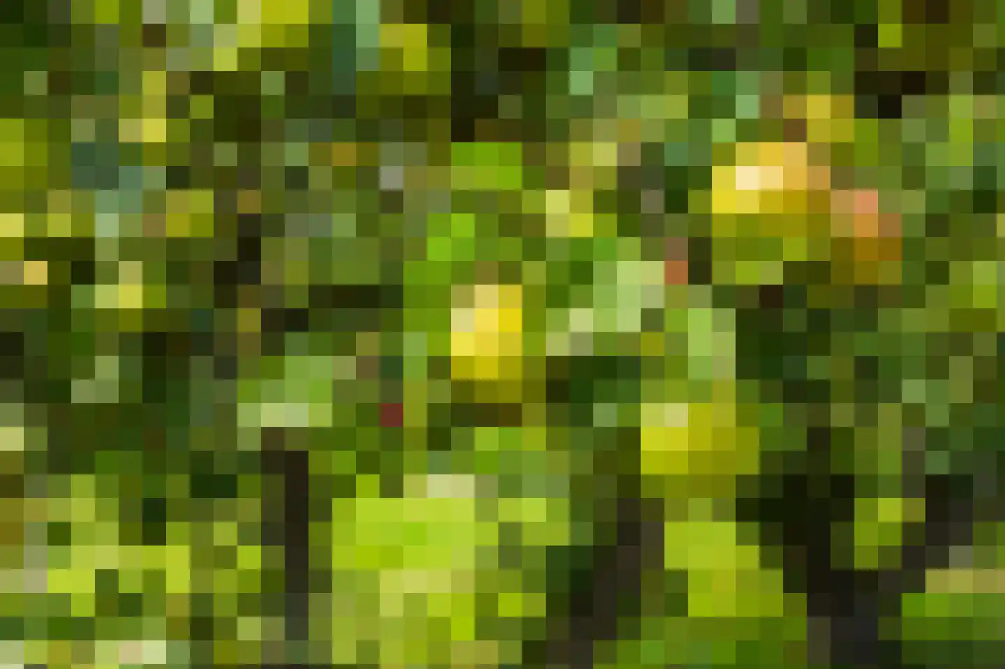 Achterstraat 6 Kerkwijk thumbnail 62