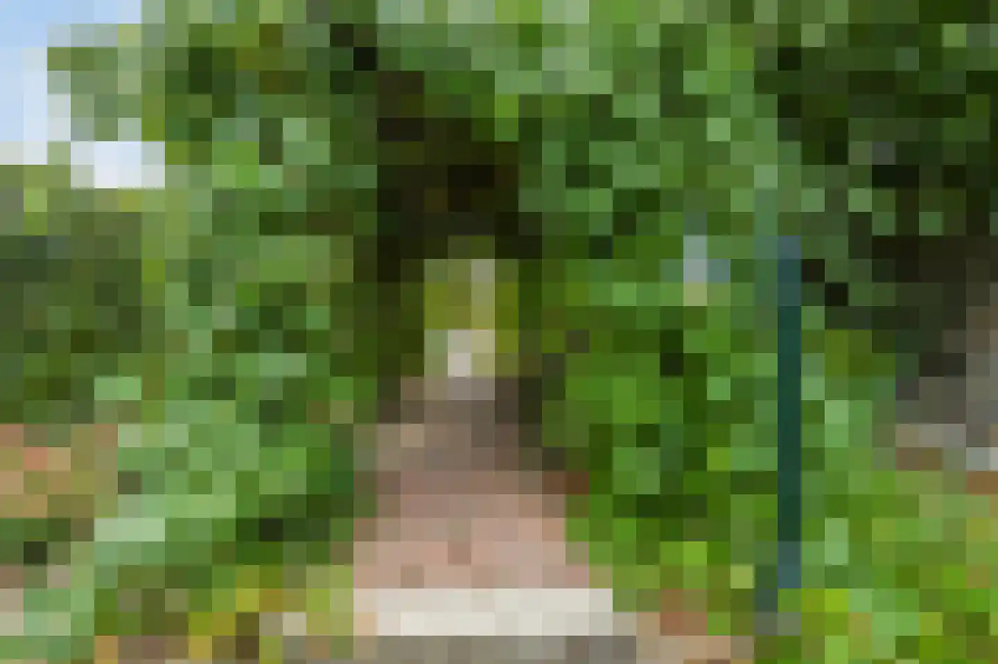 Achterstraat 6 Kerkwijk thumbnail 63