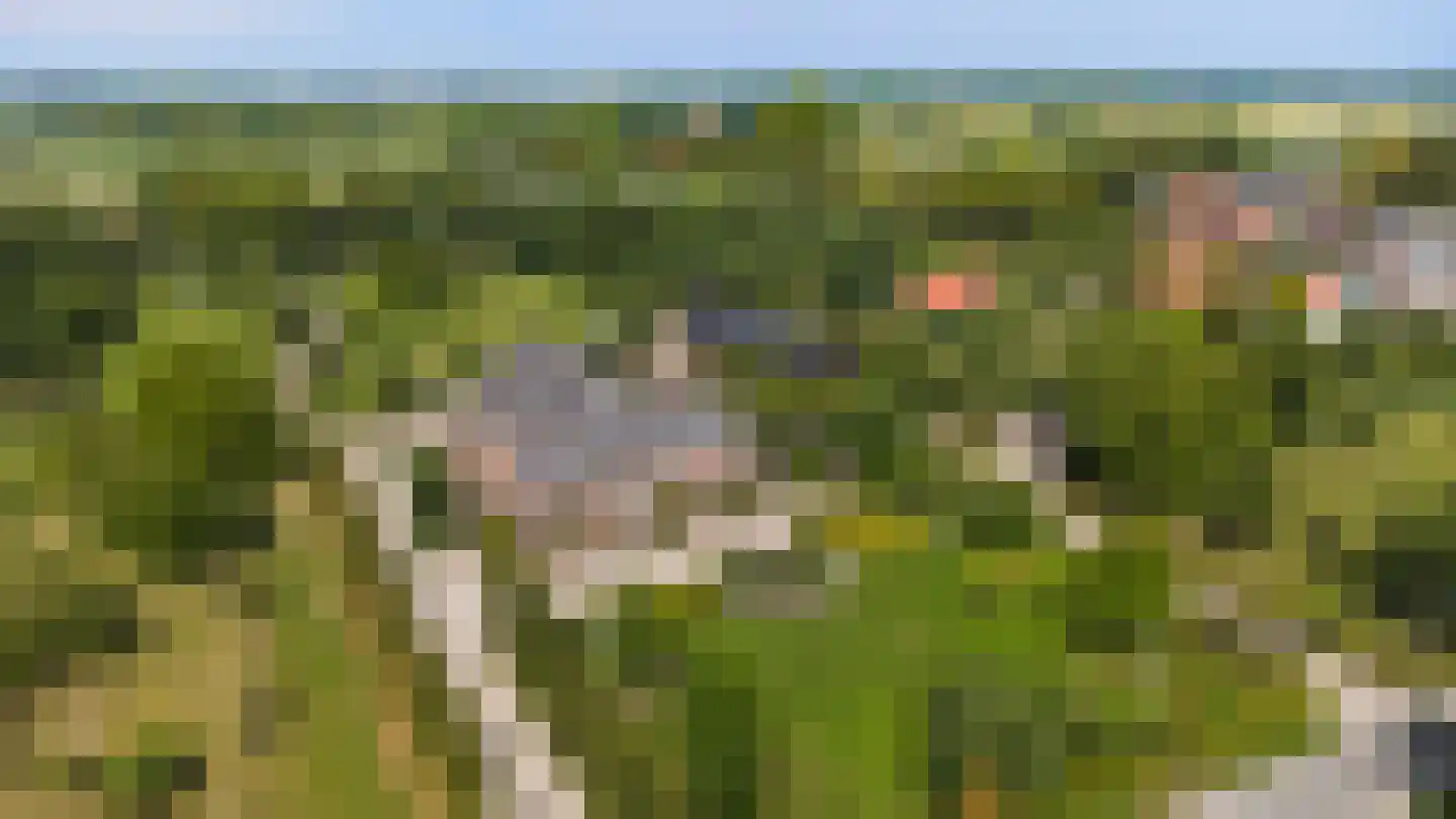 Achterstraat 6 Kerkwijk thumbnail 65