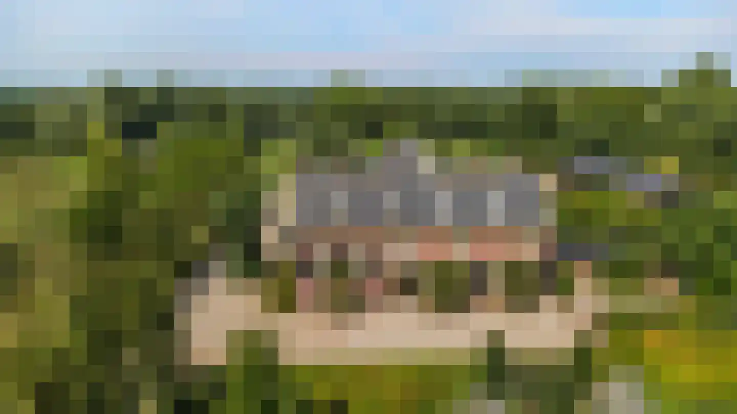 Achterstraat 6 Kerkwijk thumbnail 7